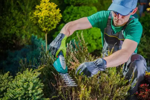 landscaping services St. Bernard